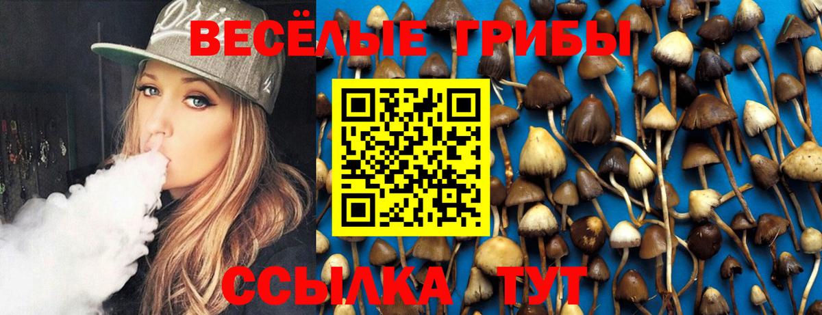 Псилоцибиновые грибы Magic Shrooms  купить наркотик  Галлюциногенные грибы ЛСД  Чистополь 